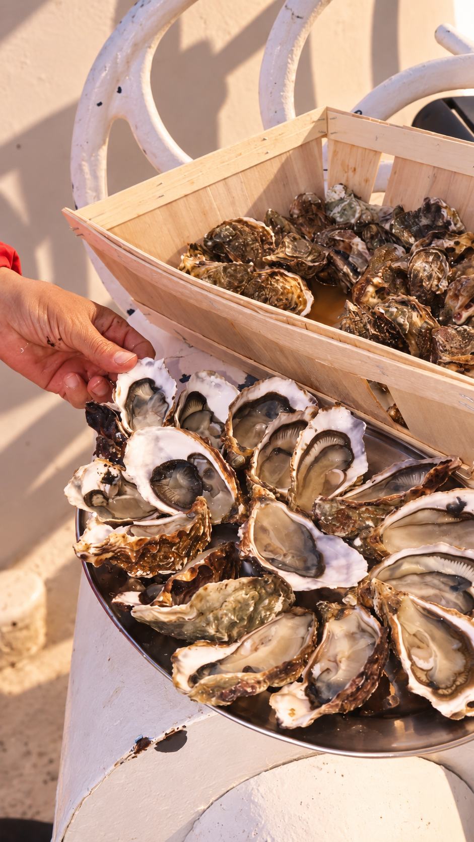 L'huître, un produit de la mer responsable et durable